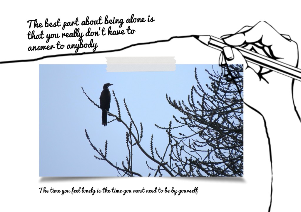 Collage created with Fotojet